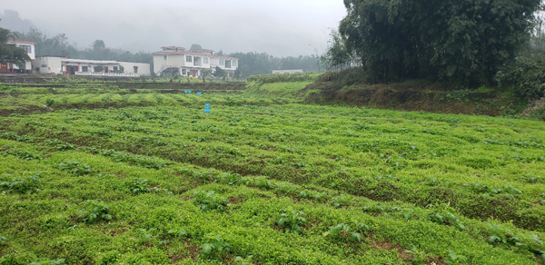 ���������޸�