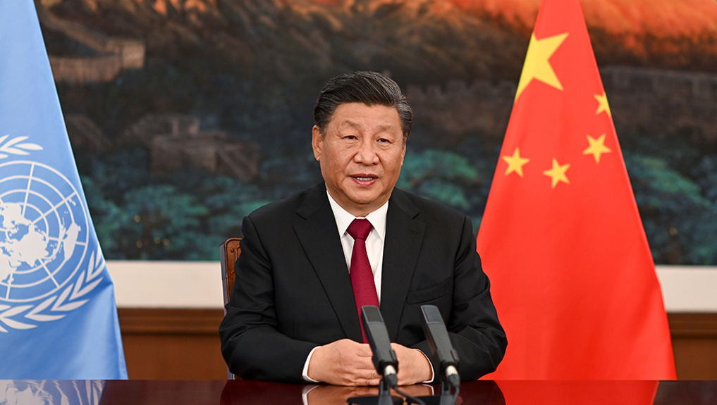 0d4f737656424202a1eb570ba88812cf 0d4f737656424202a1eb570ba88812cf