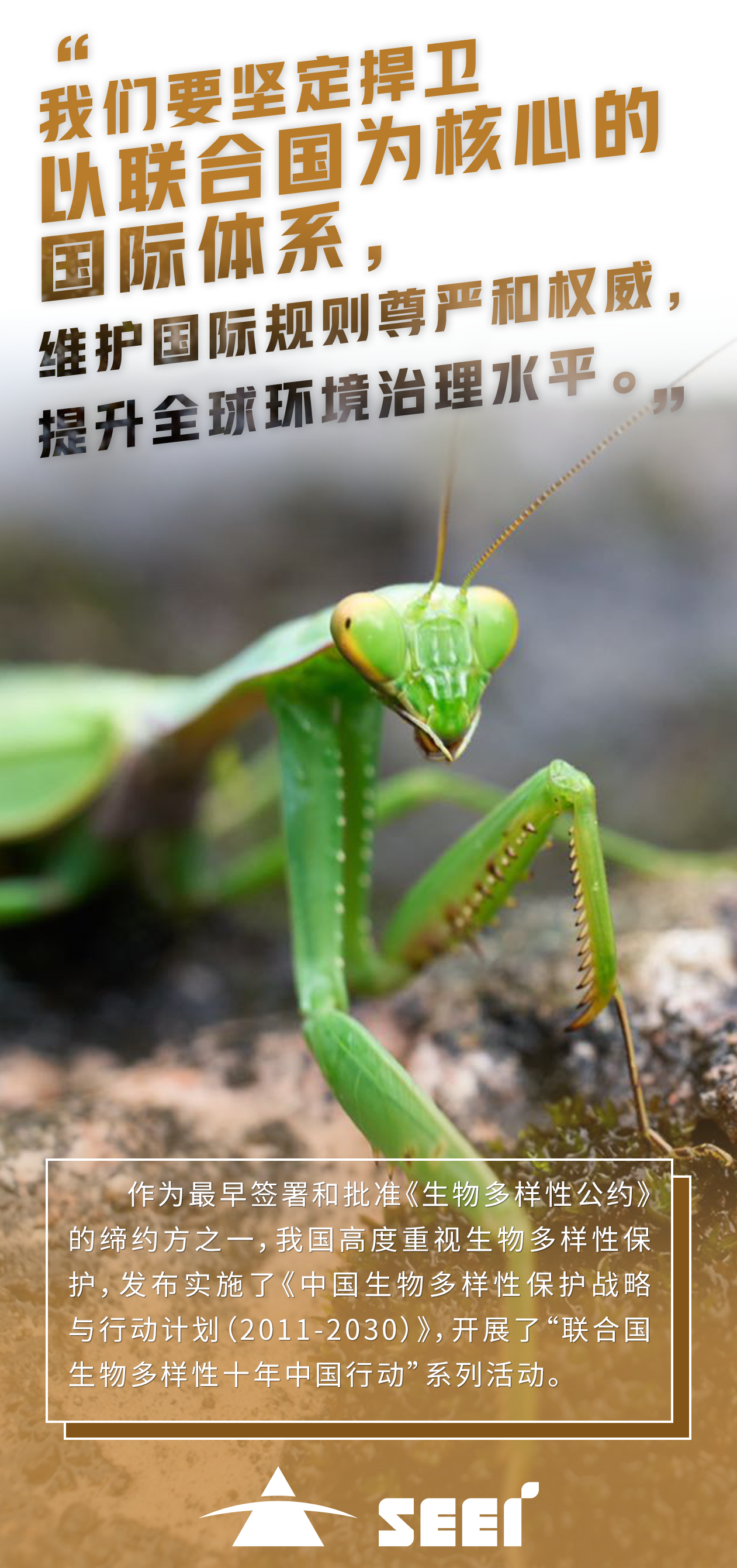 6ËÄ´¨ºÏÀÖhl888¼¯ÍÅ-³ÂÞÈÑô 6ËÄ´¨ºÏÀÖhl888¼¯ÍÅ-³ÂÞÈÑô