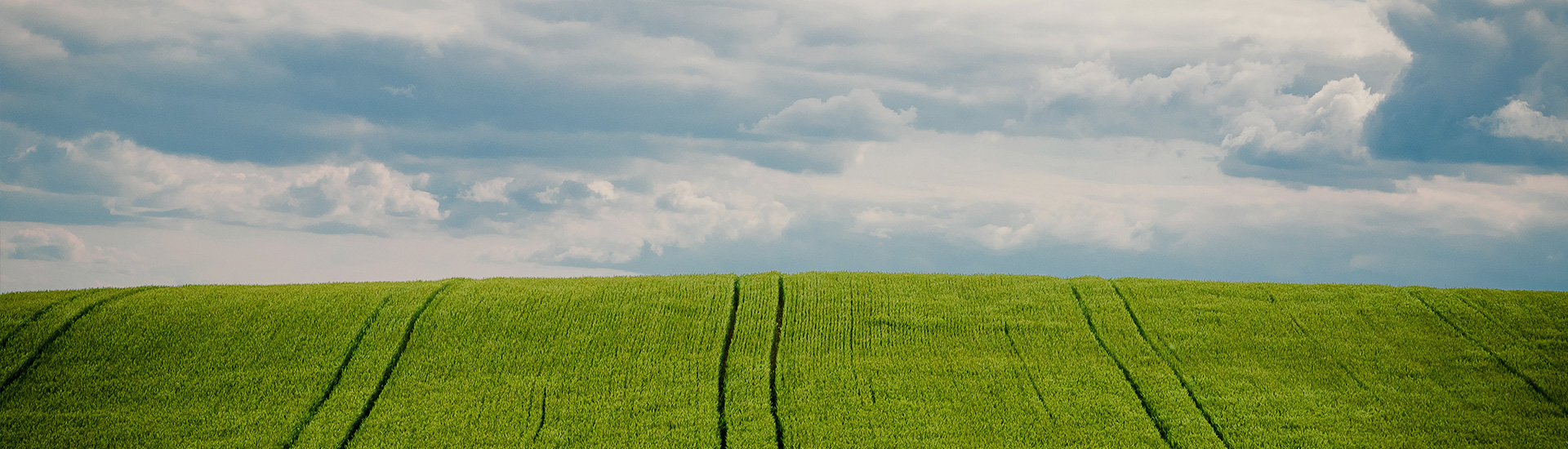 ����HL8��(�й���)����