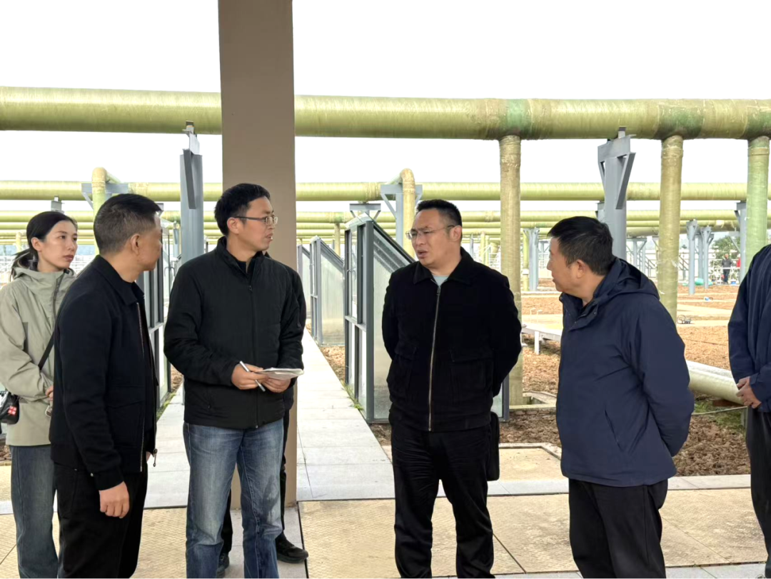 ����HL8��(�й���)����